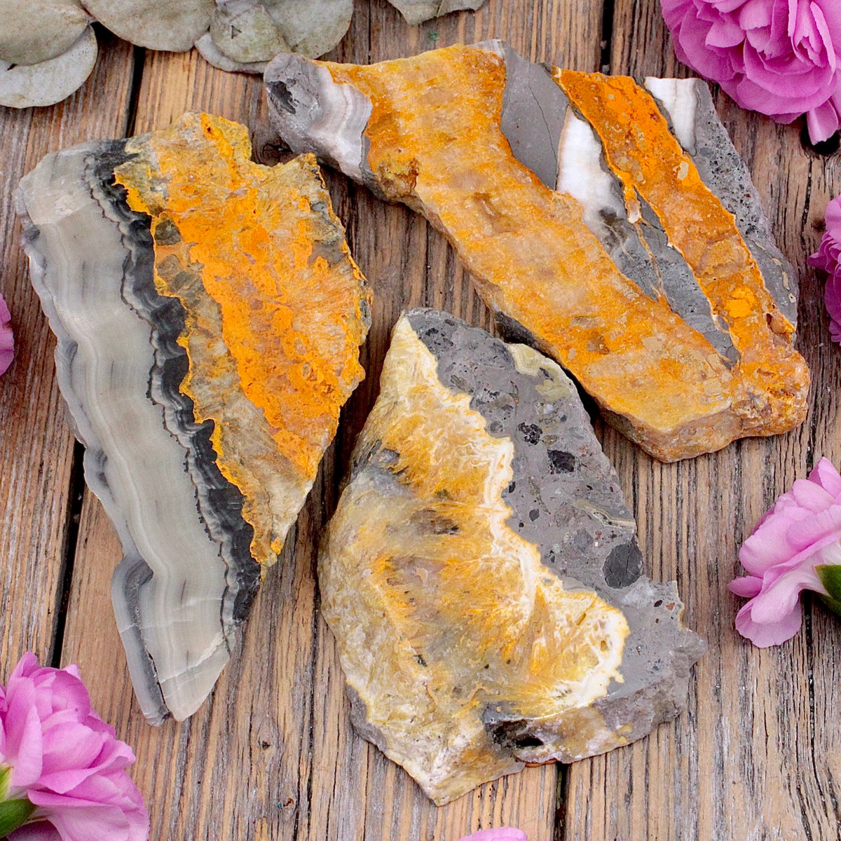 Bumblebee Jasper Slab