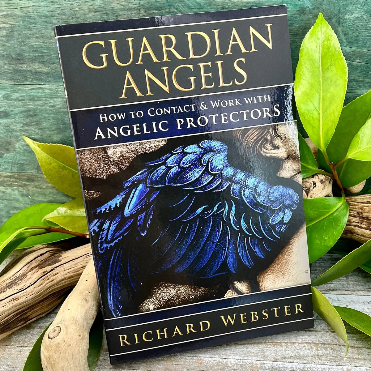 Guardian Angels: How to Contact & Work with Angelic Protectors