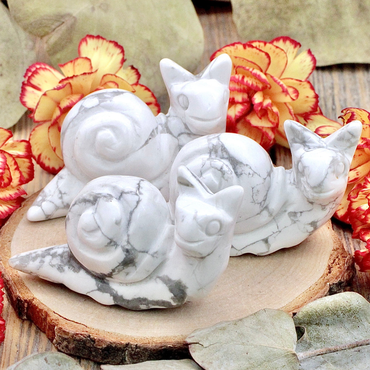 Howlite Snail