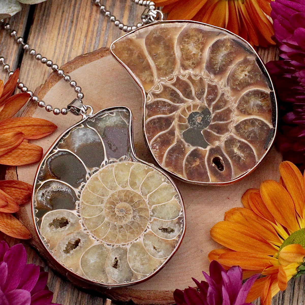 Ammonite Pendant