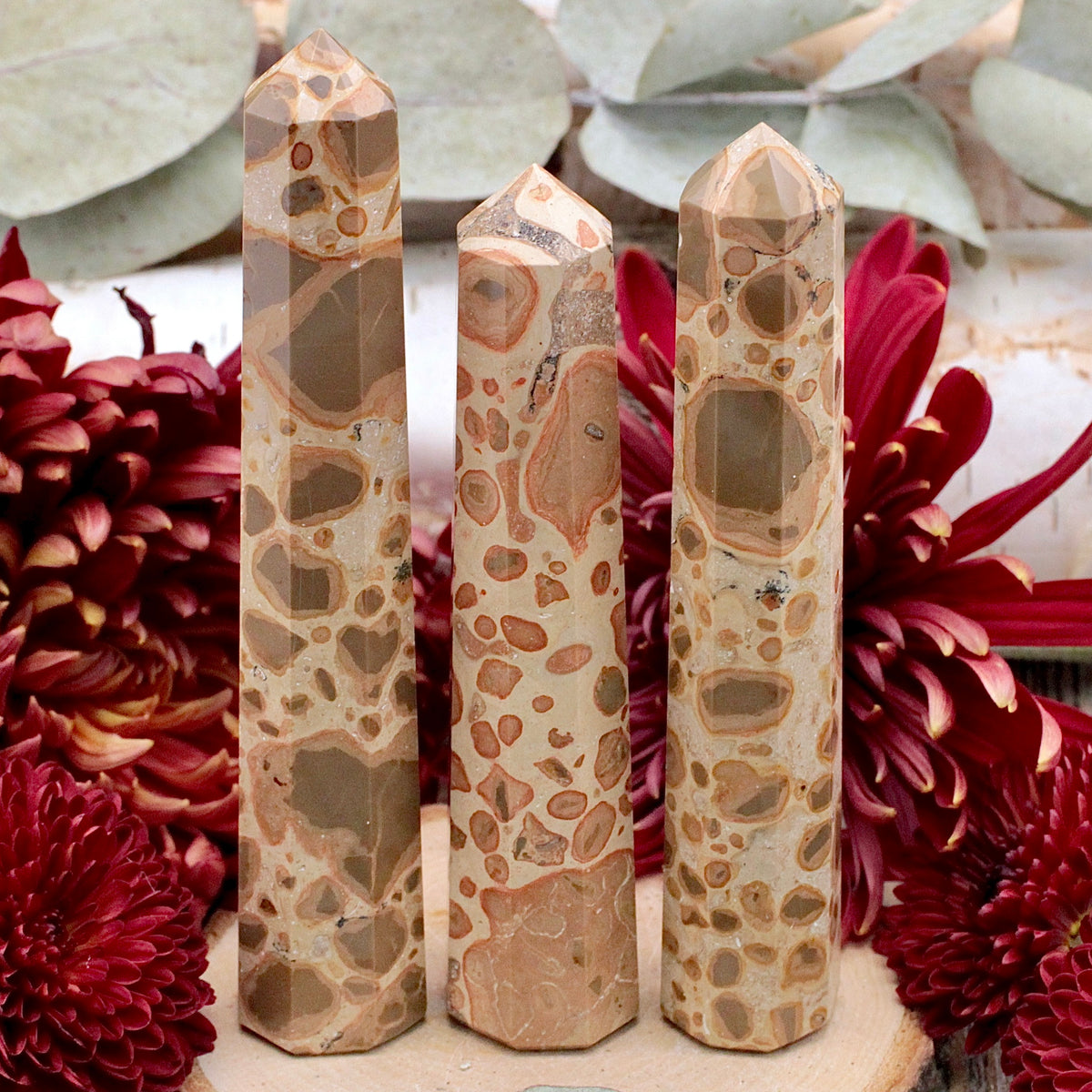 Safari Jasper Tower
