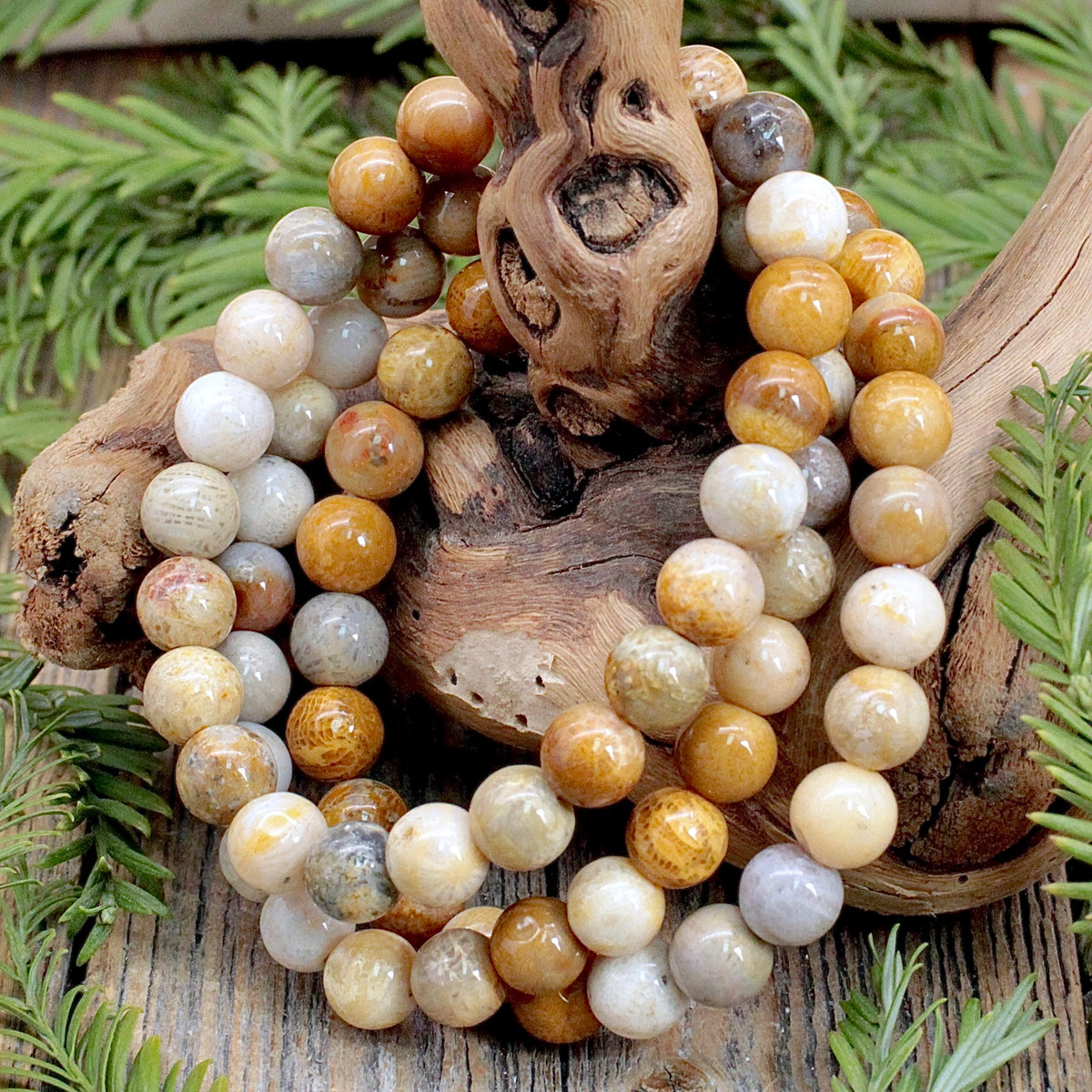 Fossilized Coral Bracelet - 8mm