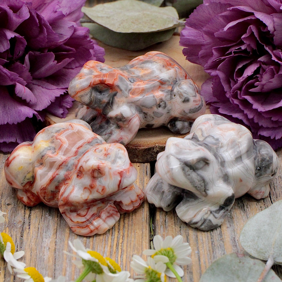 Mexican Crazy Lace Agate Frog