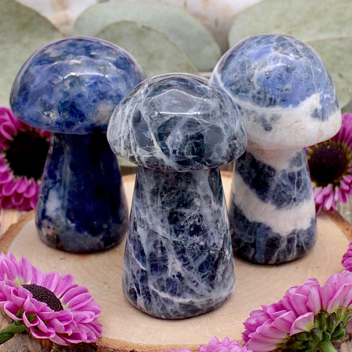 Sodalite Mushroom