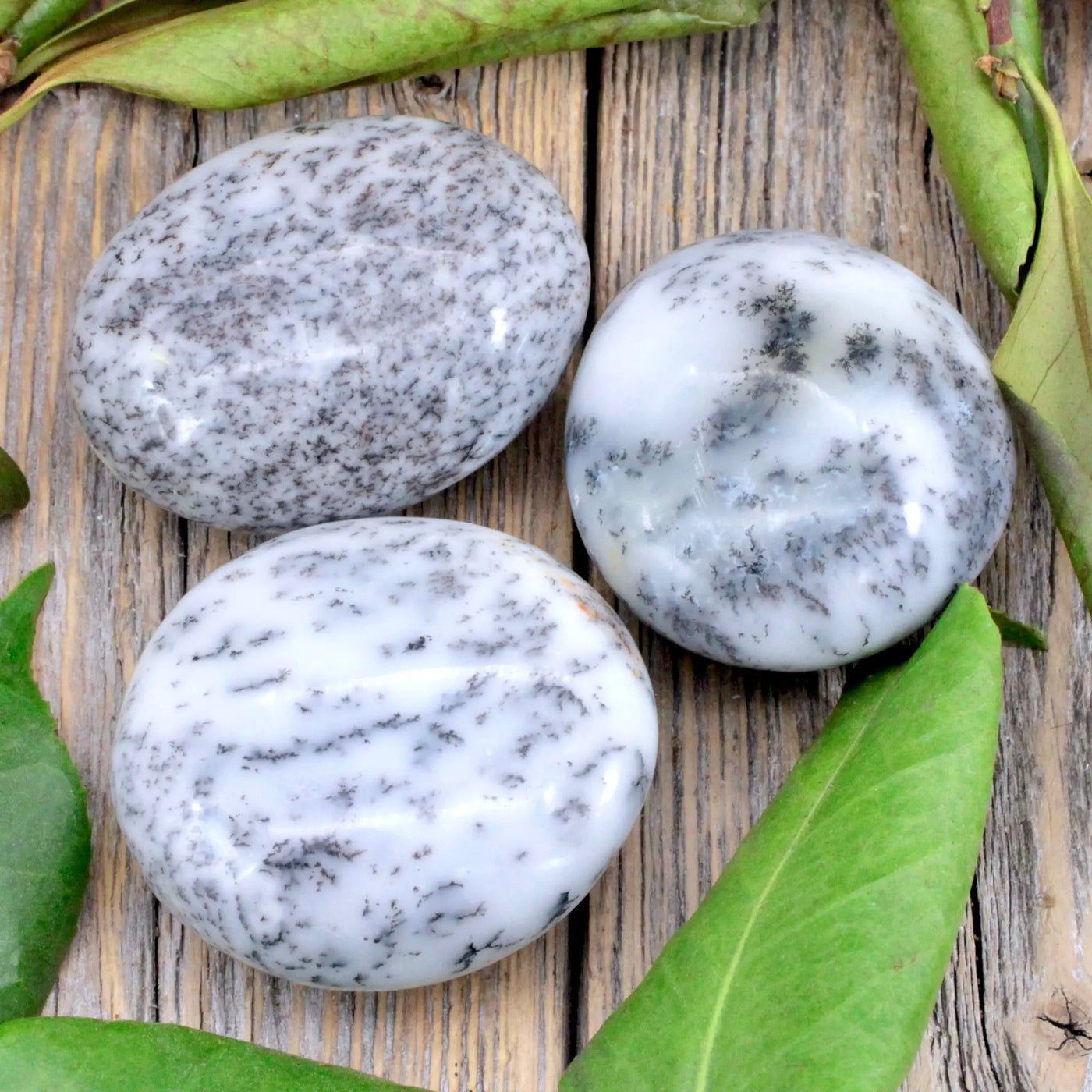 Dendritic Agate Pocket Stone