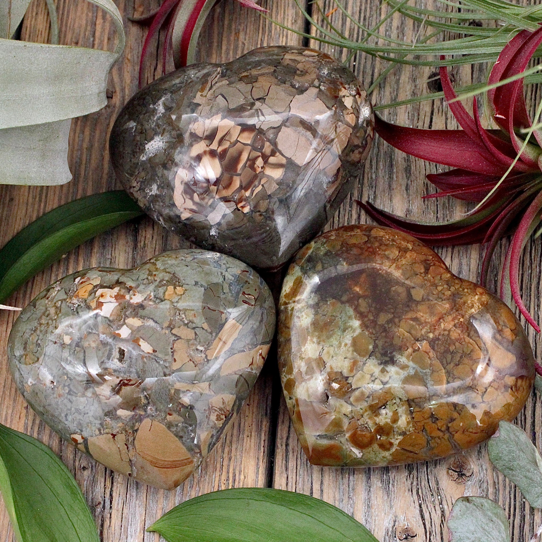 Ibis Jasper Heart – RockMama.com
