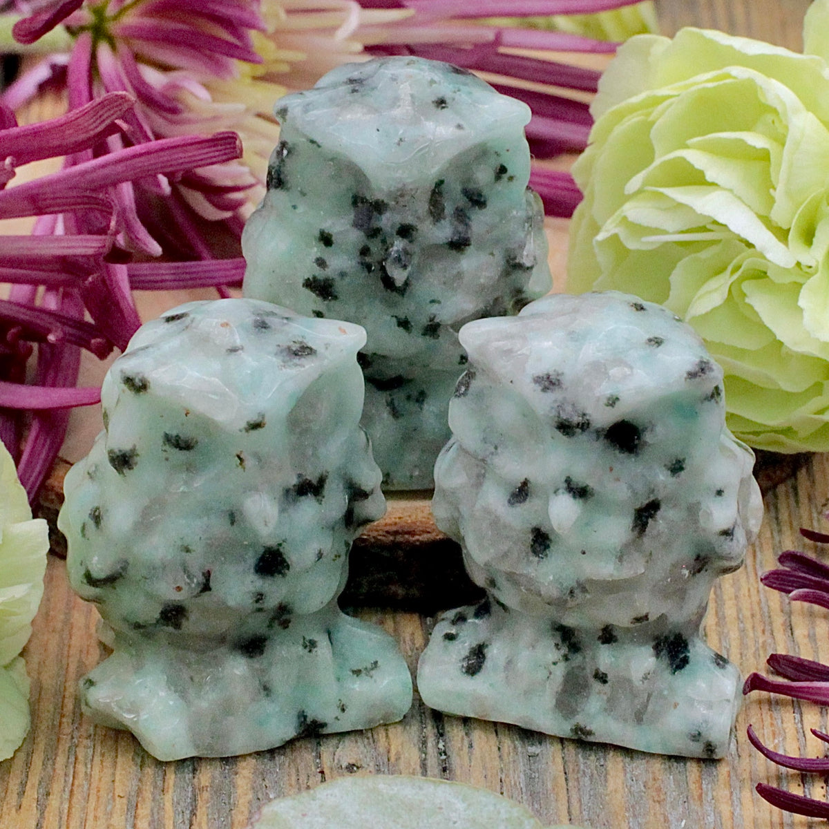 Kiwi Jasper Owl