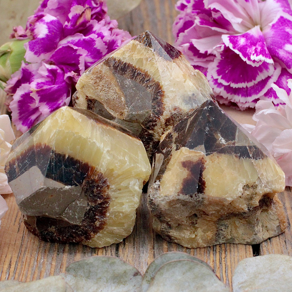 Septarian Mini Power Point