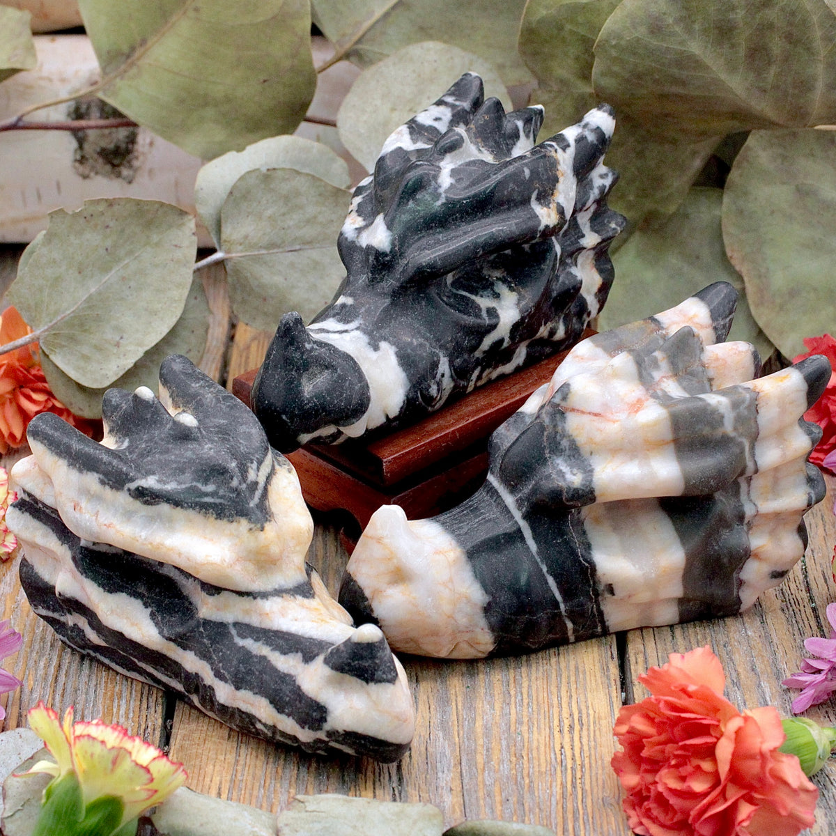 Zebra Jasper Dragon Head
