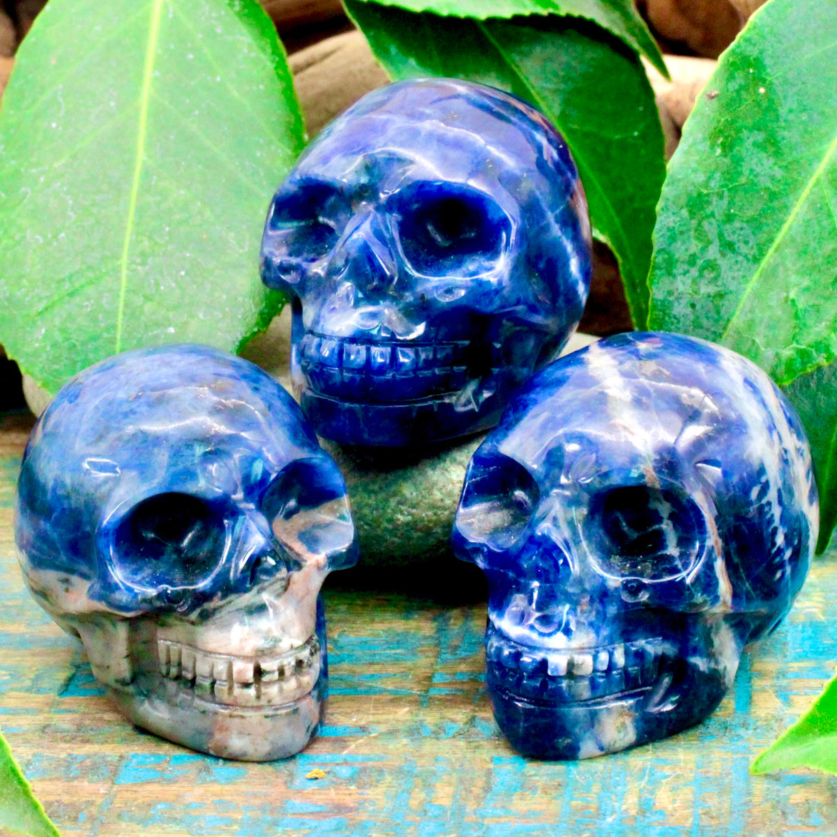 Sodalite Skull Carving