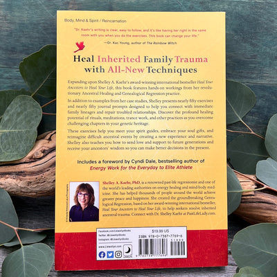 Ancestral Energy Healing A Guidebook back