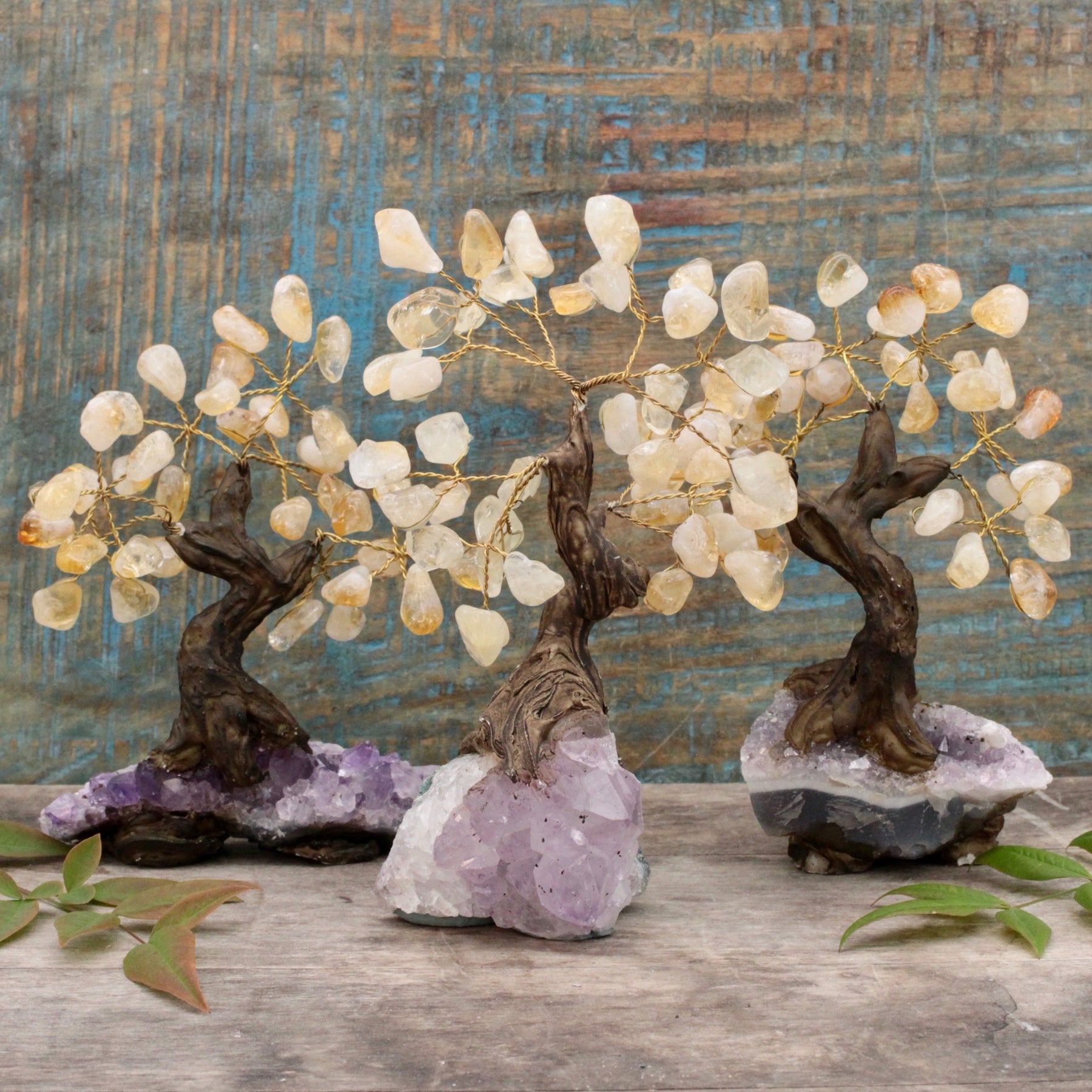 photo of crystal trees