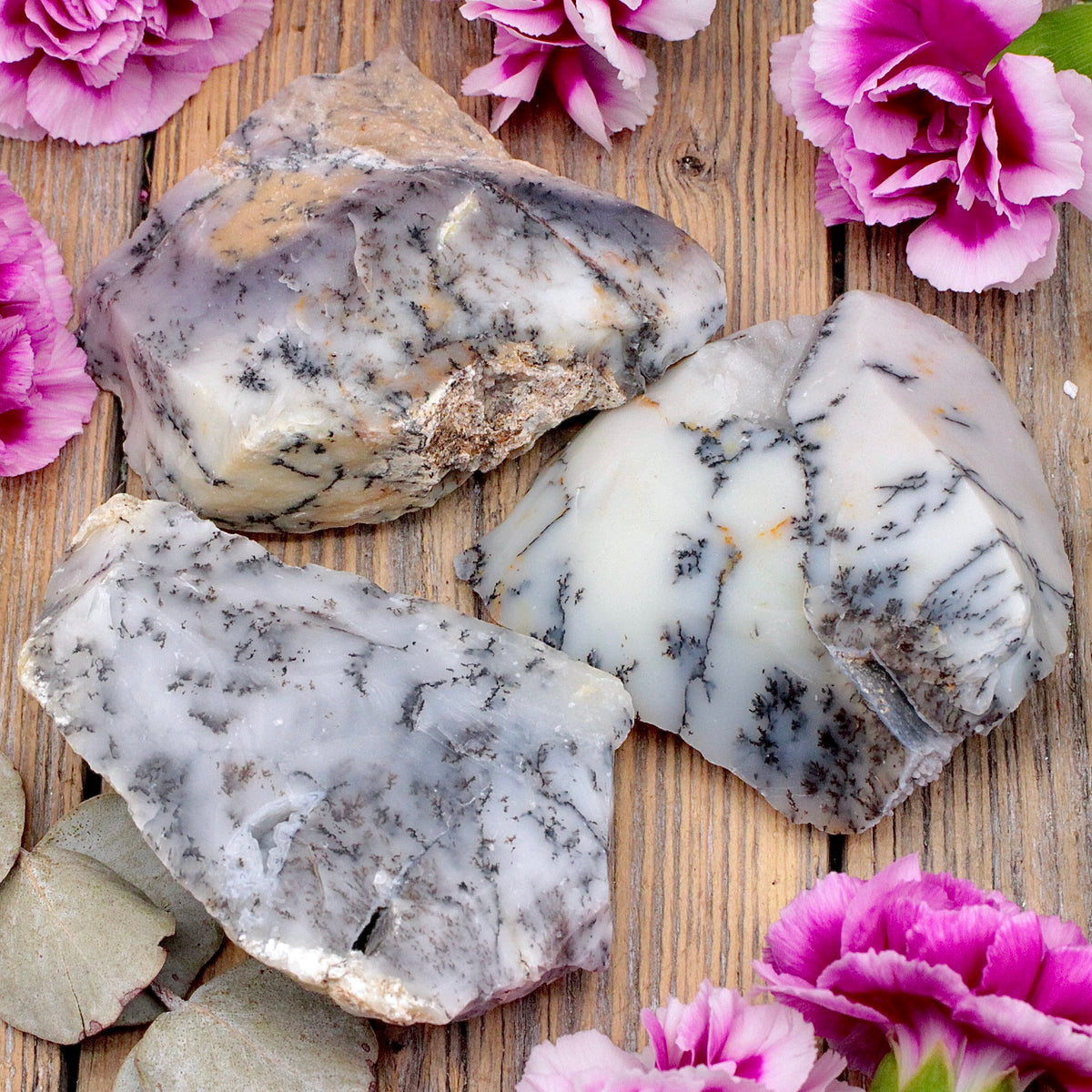 Dendritic Opal Chunk