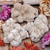 Desert Rose Selenite Cluster