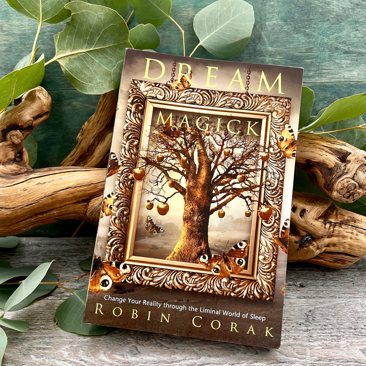 Dream Magick Change Your Reality through the Liminal World of Sleep