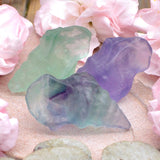 Fluorite Conch Shell Carving