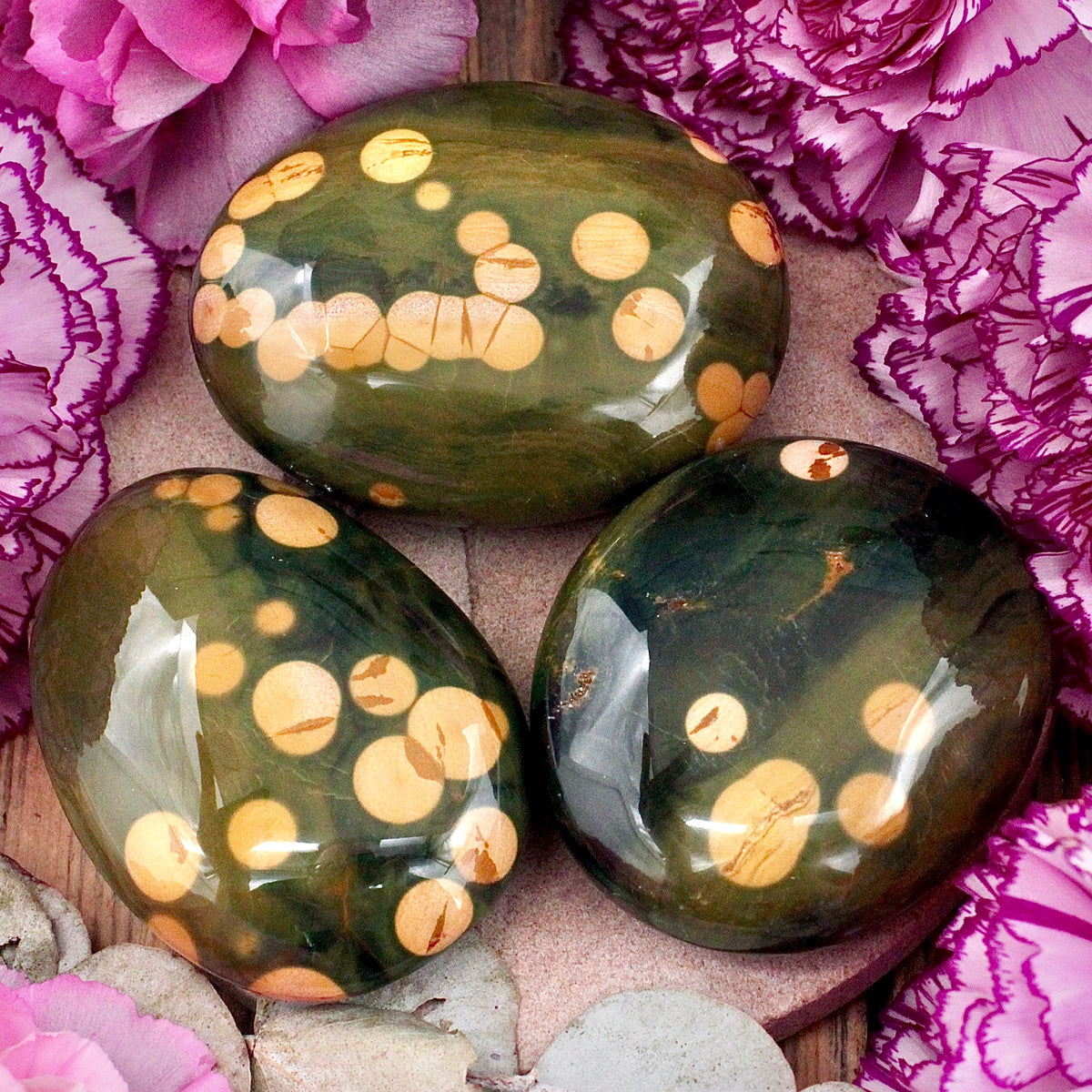 Kabamby Ocean Jasper Palm Stone