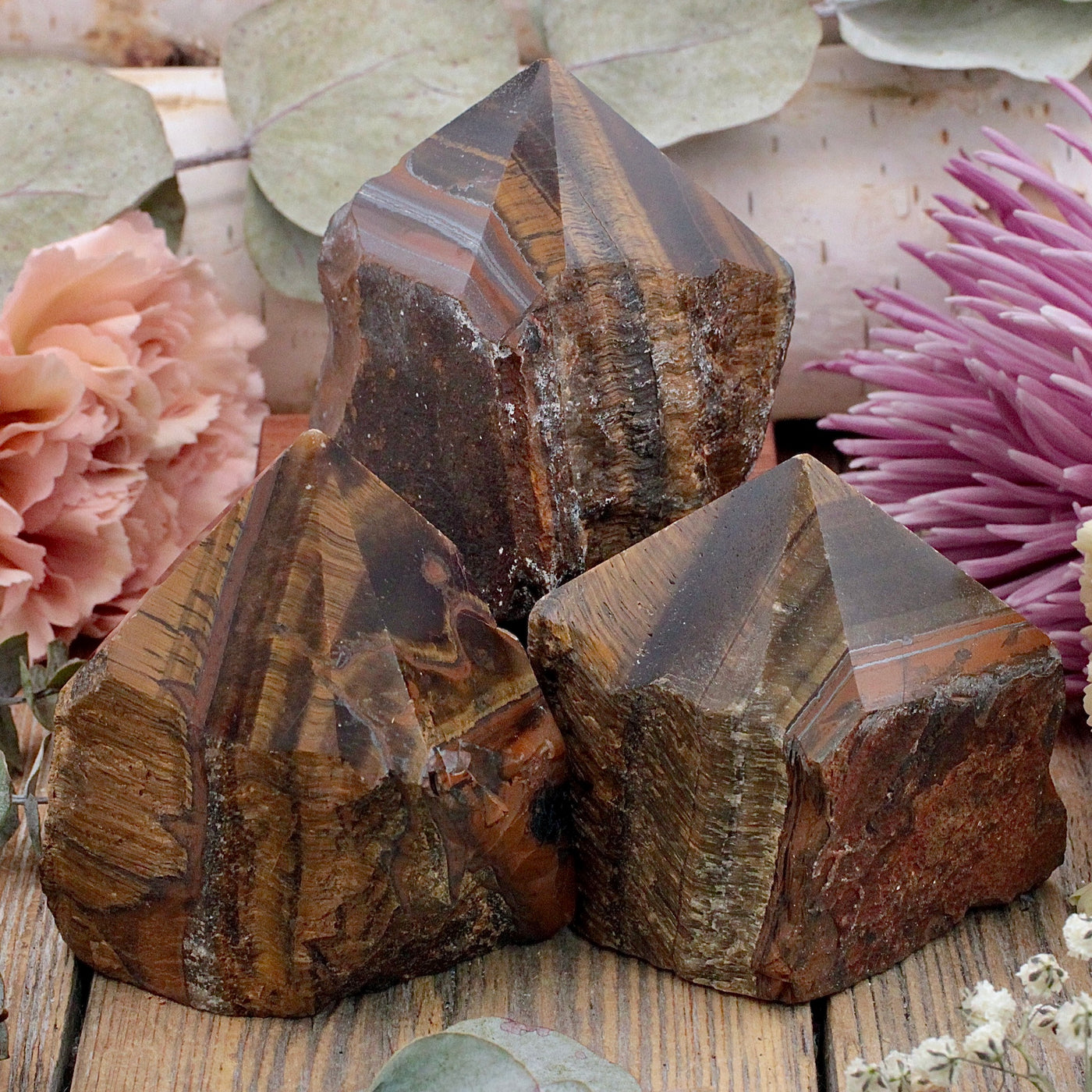 Tiger's Eye Power Point