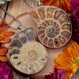 Ammonite Pendant