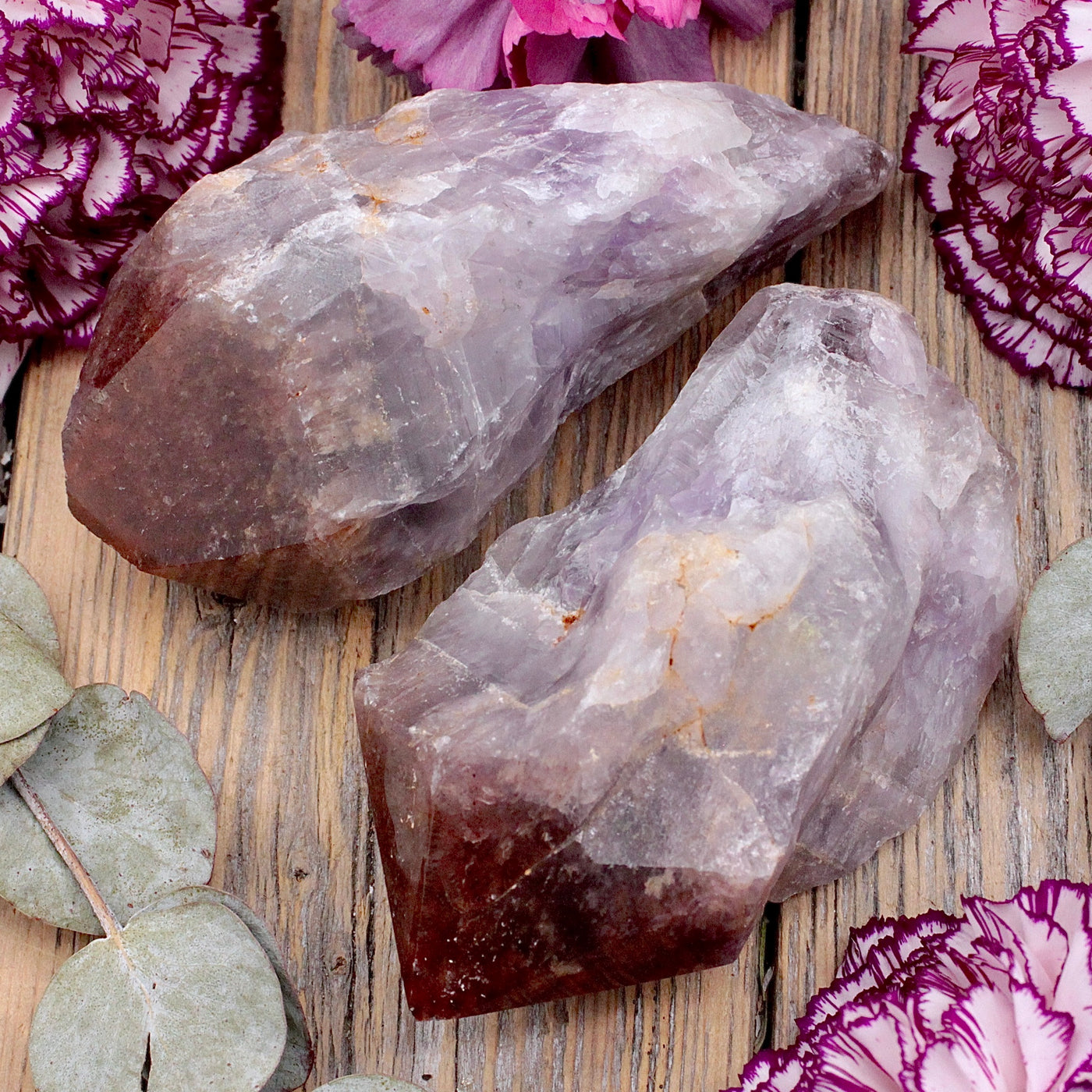 Super Seven Raw Point