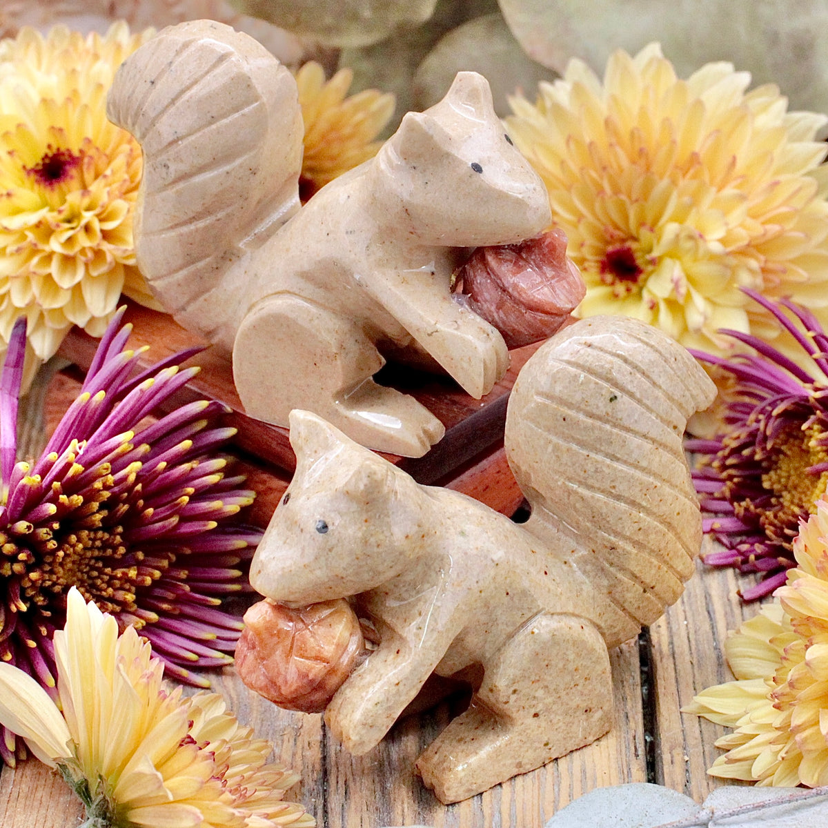 Marble Squirrel