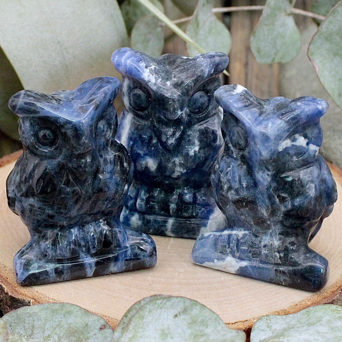 Sodalite Owl