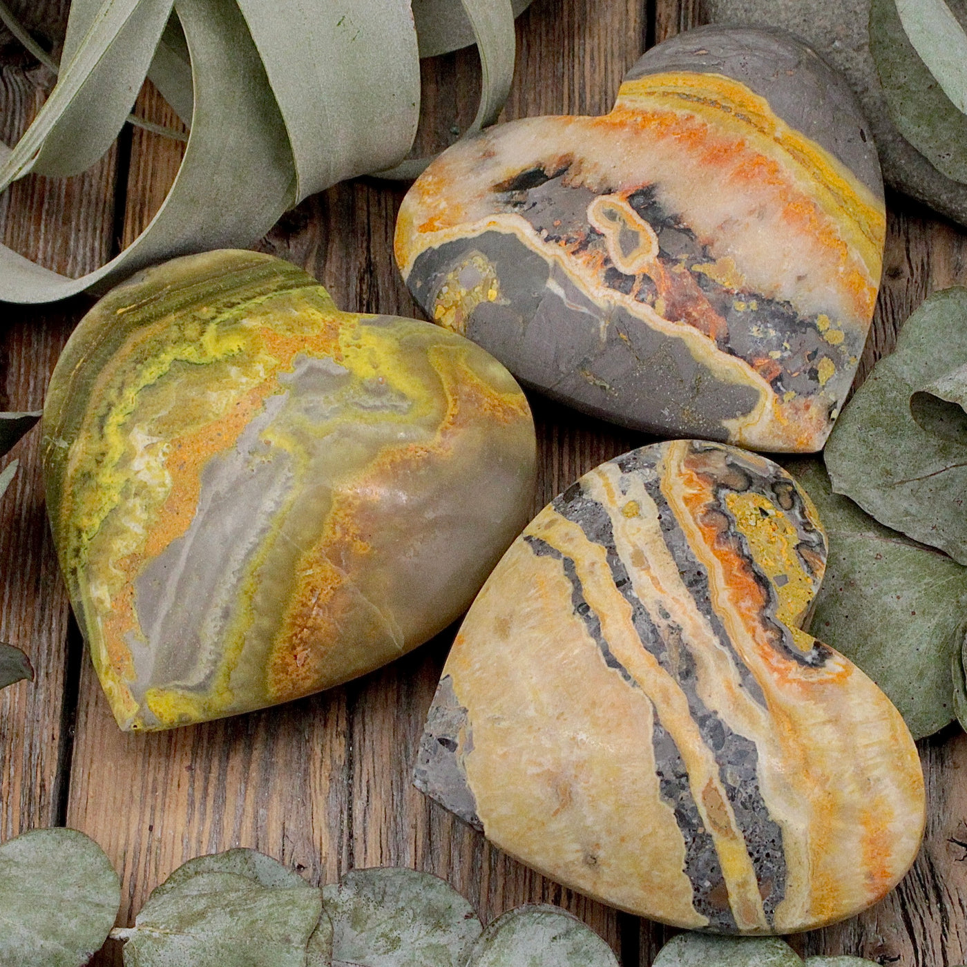 Bumblebee Jasper Heart