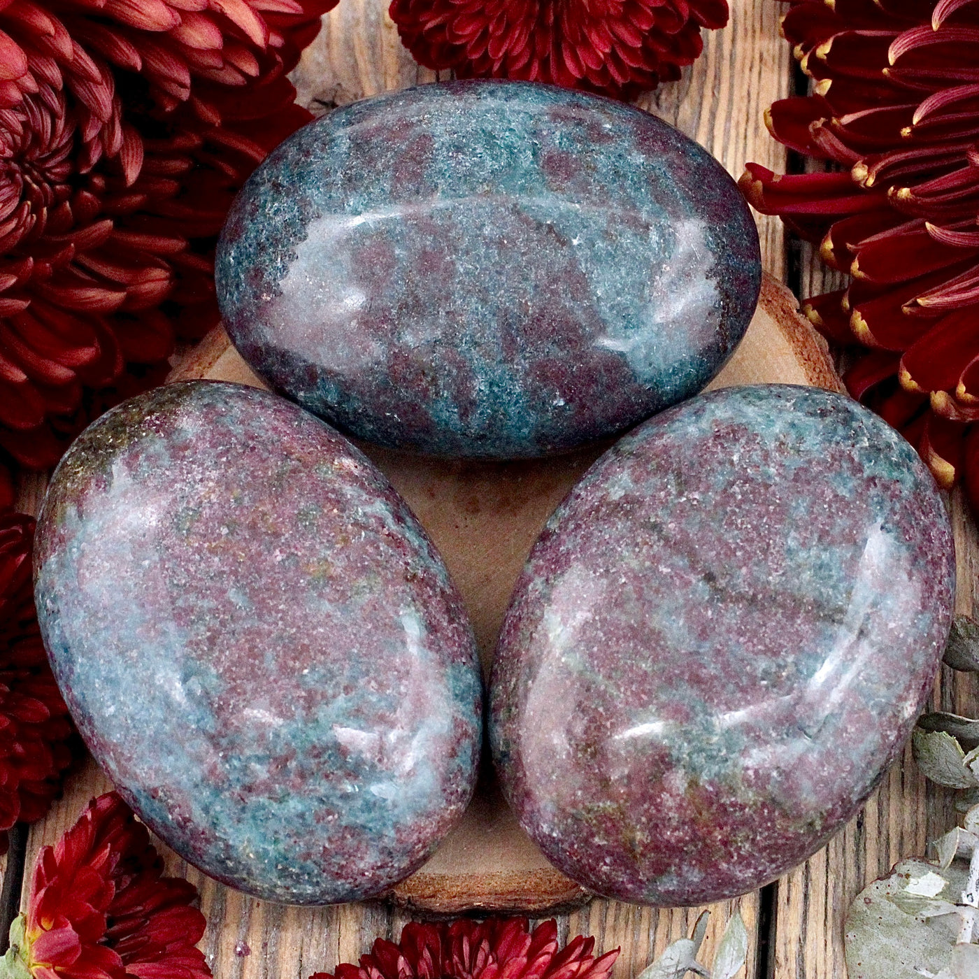Ruby in Kyanite Palm Stone