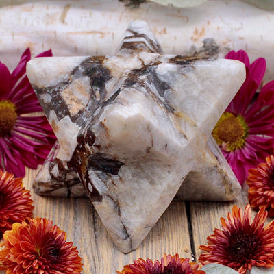 Ocean Jasper Merkaba