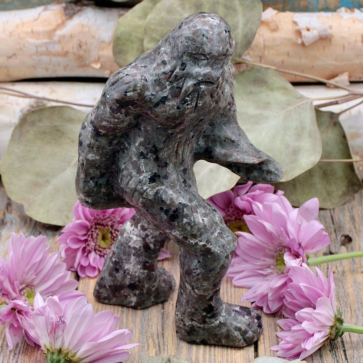 Larvikite Bigfoot