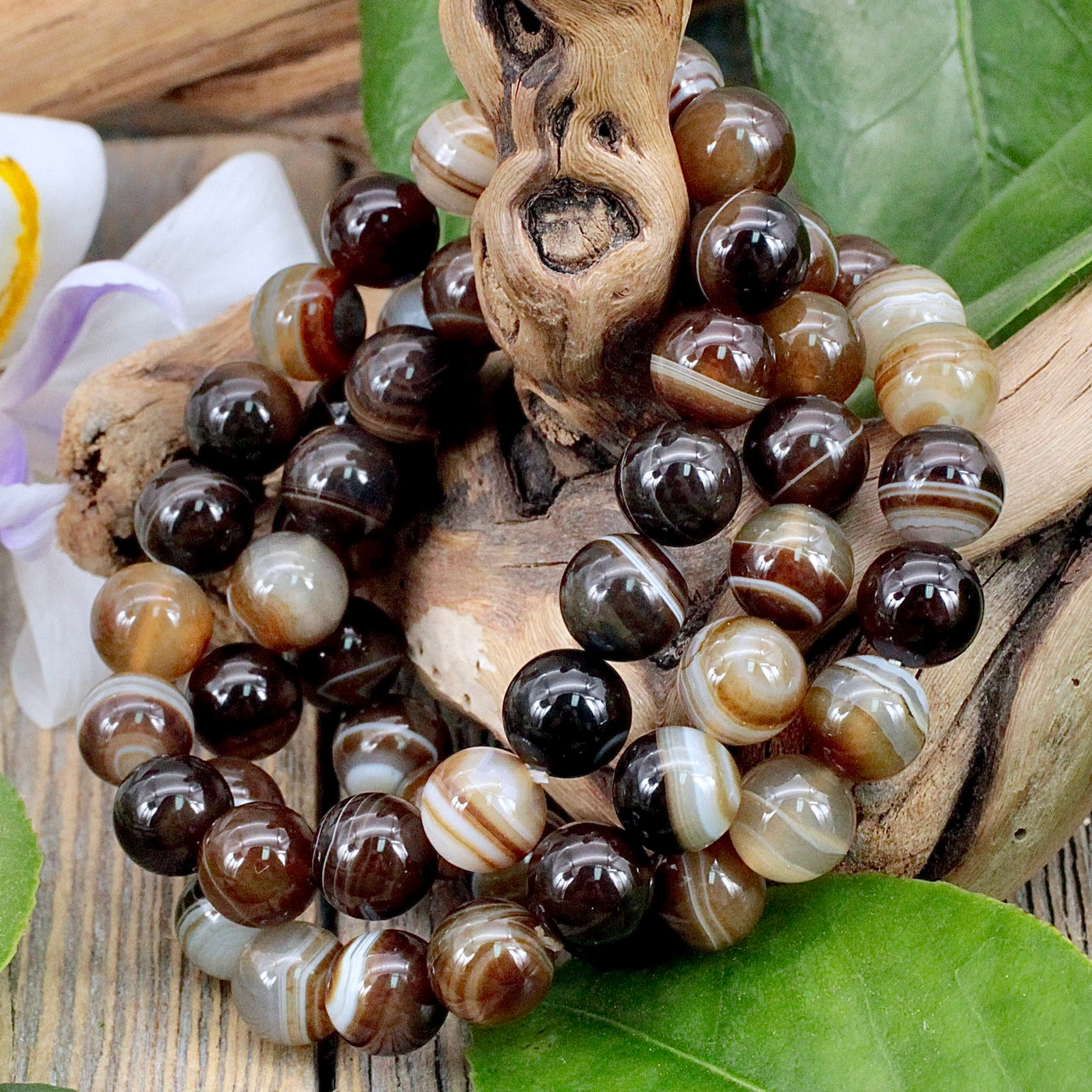 Brown Agate Bracelet 10mm RockMama brown-agate-bracelet-10mm-rockmama