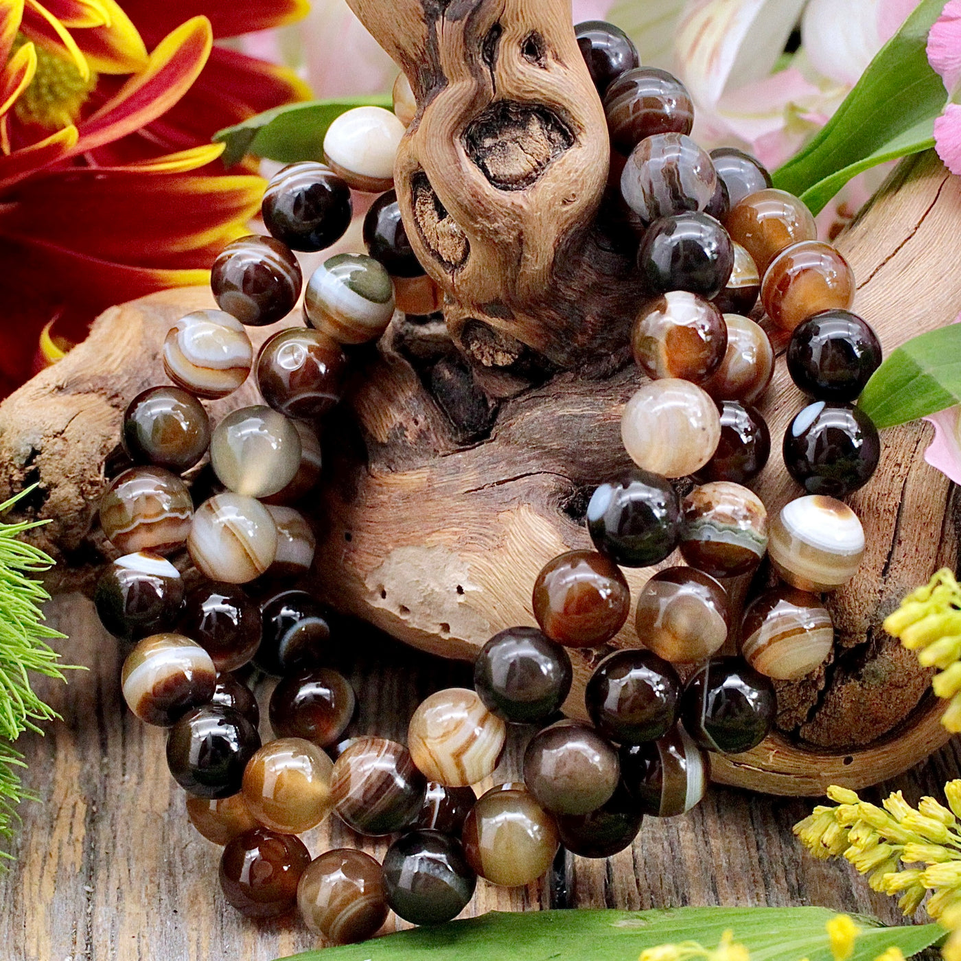 Brown Agate Bracelet 8mm