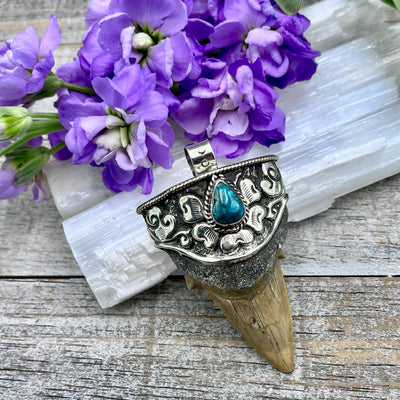 Shark Tooth Pendant with Turquoise