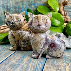 Picasso Jasper cat sculptures