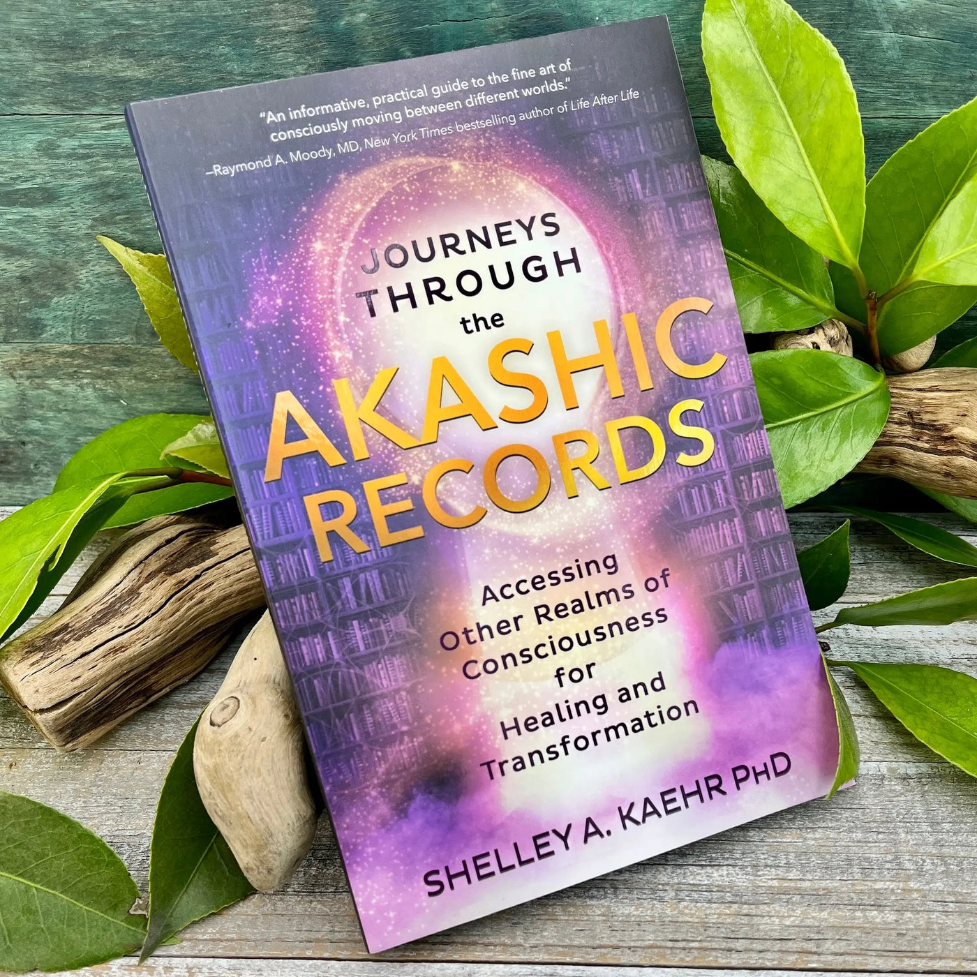 Journeys through the Akashic Records: Accessing Other Realms of Consciousness for Healing and Transformation