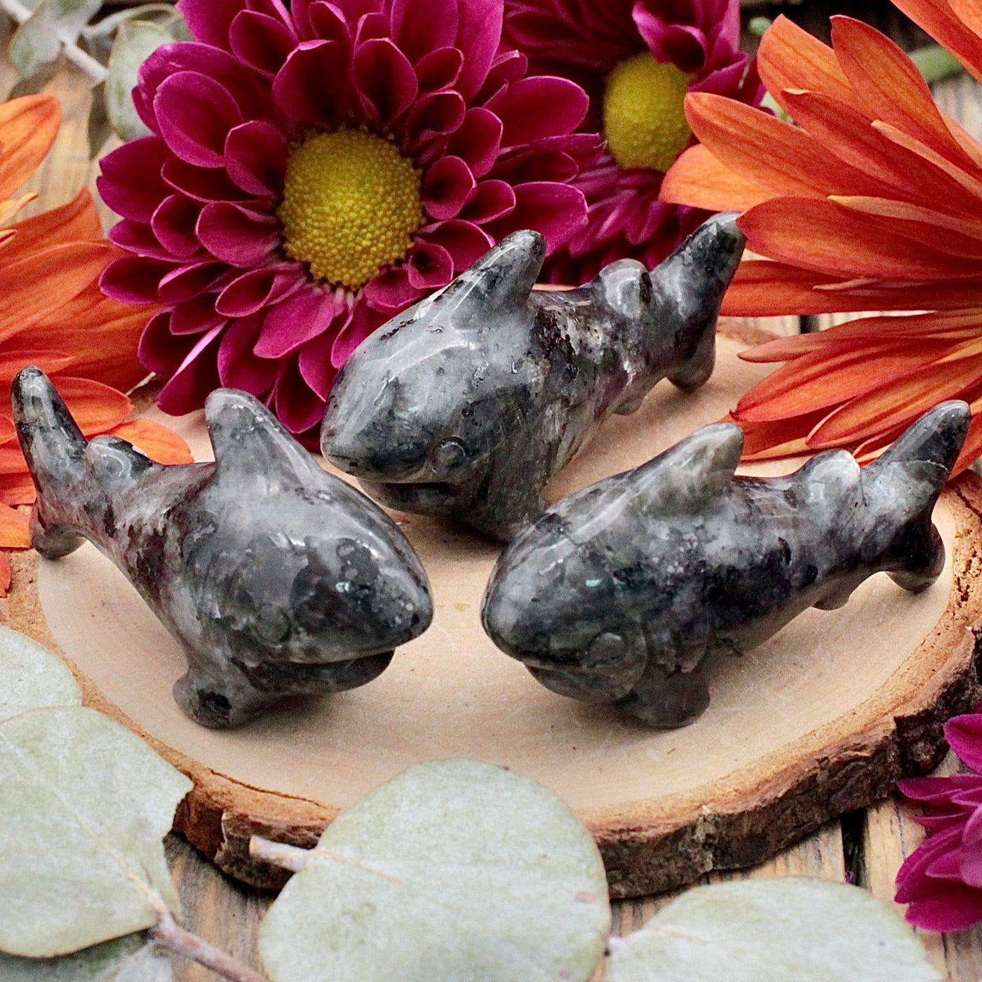 Larvikite Shark carving