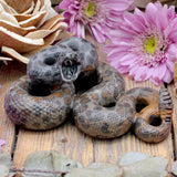 Leopardskin Jasper Rattlesnake