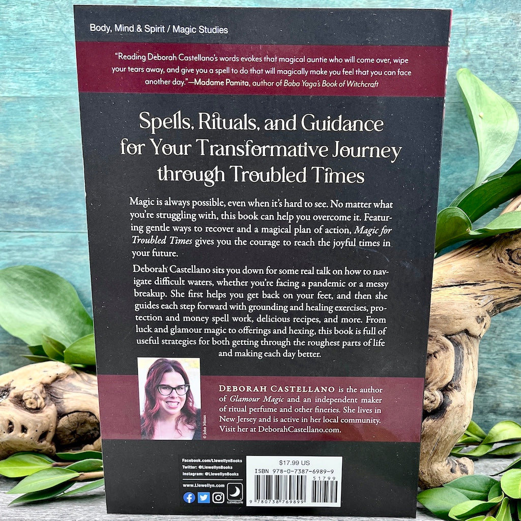 Magic for Troubled Times: Rituals, Recipes, and Real Talk for Witches