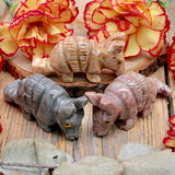 Peruvian Jasper Armadillo