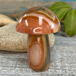 Polychrome Jasper mushroom