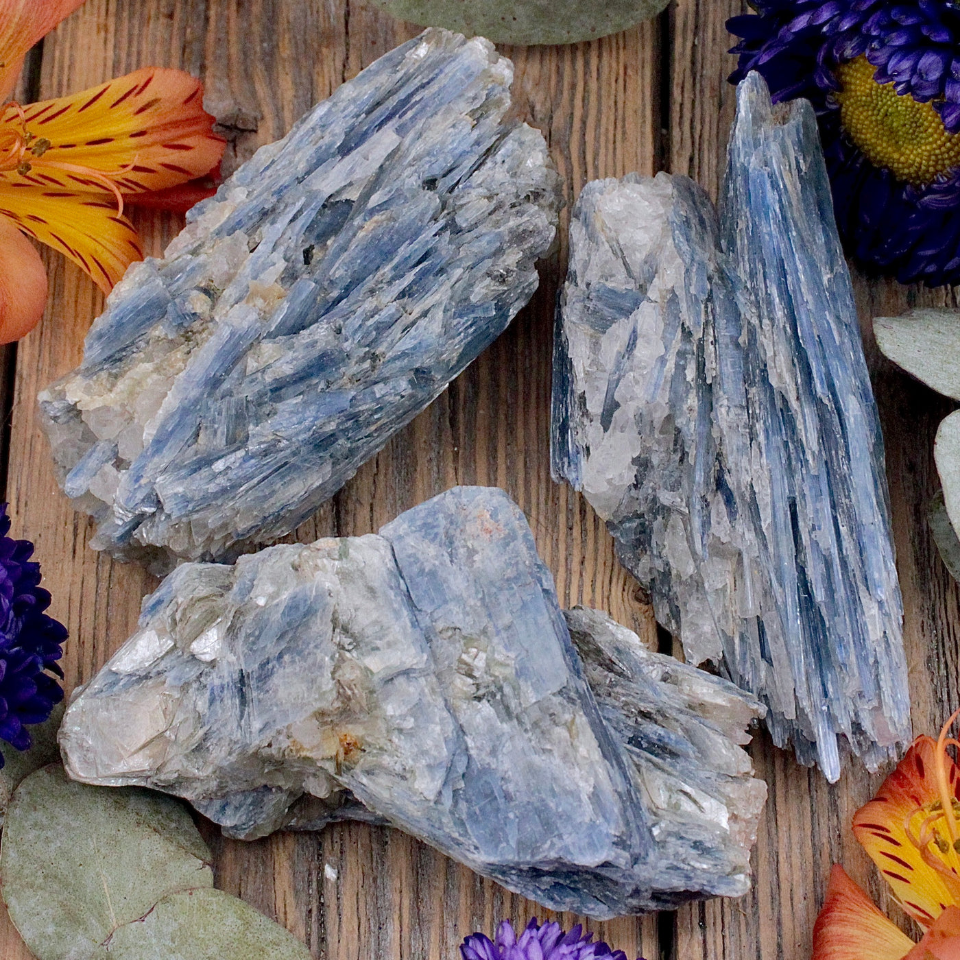 RC10056-Blue-Kynite-Cluster-A