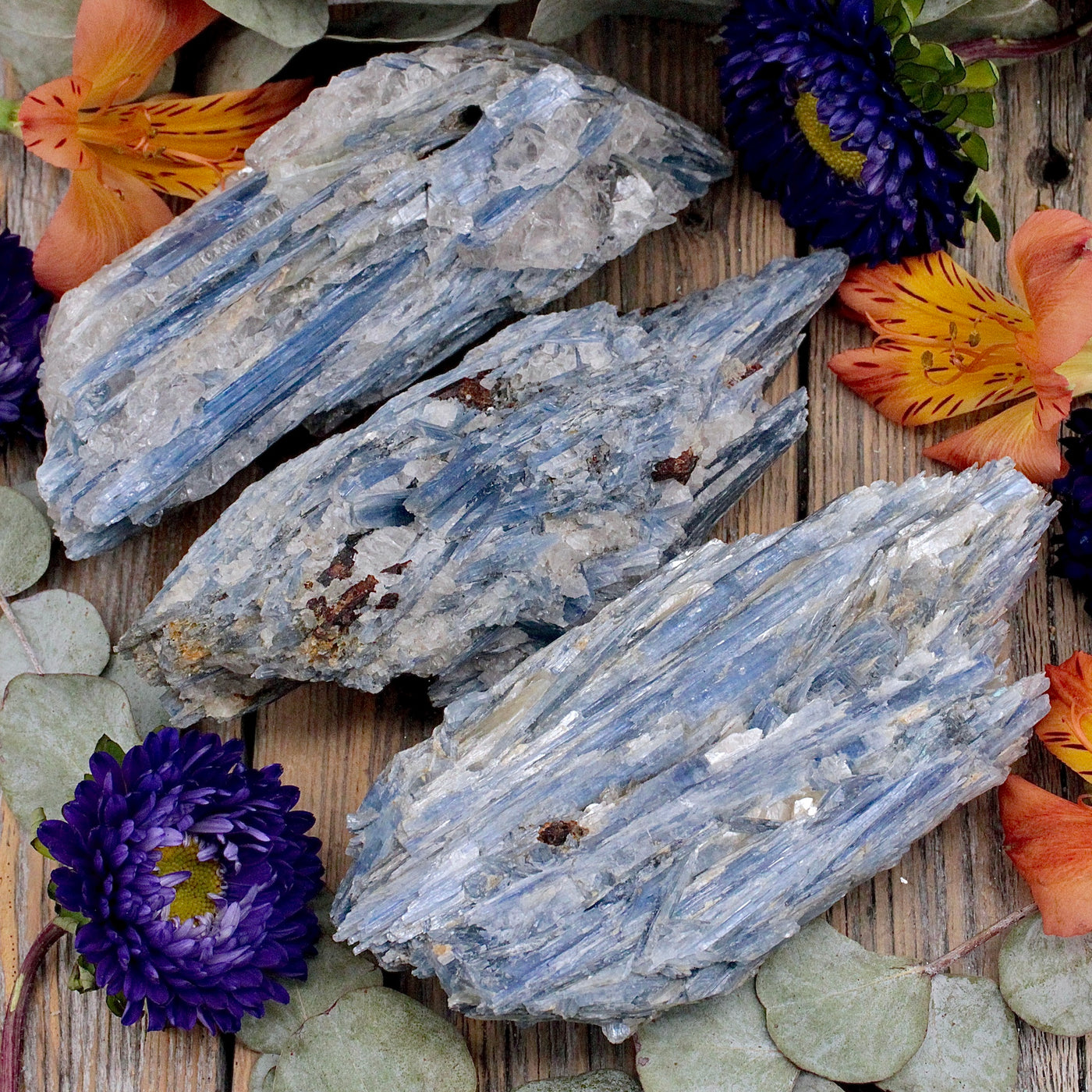 RC10059-Blue-Kynite-Cluster-D