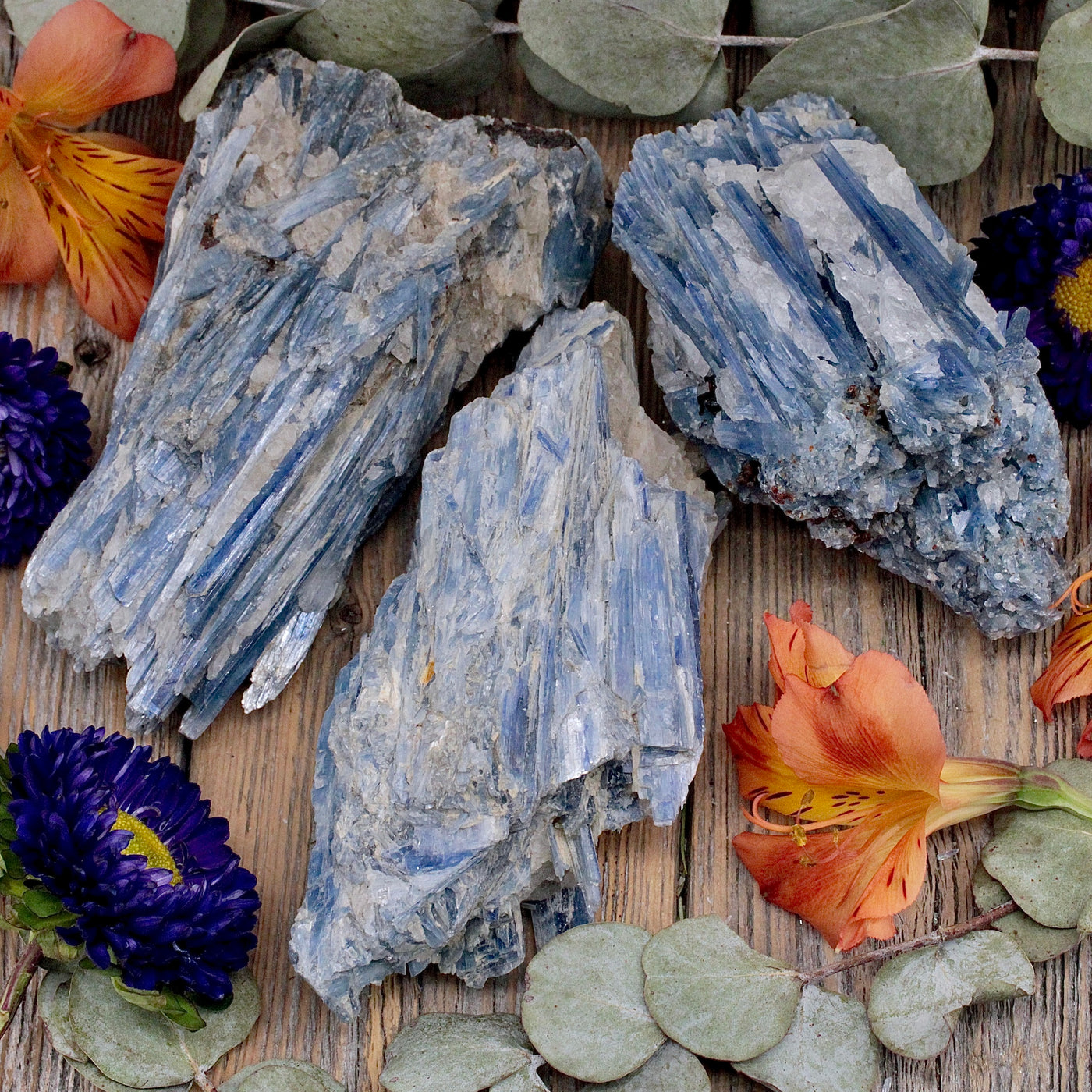 RC10060-Blue-Kynite-Cluster-E