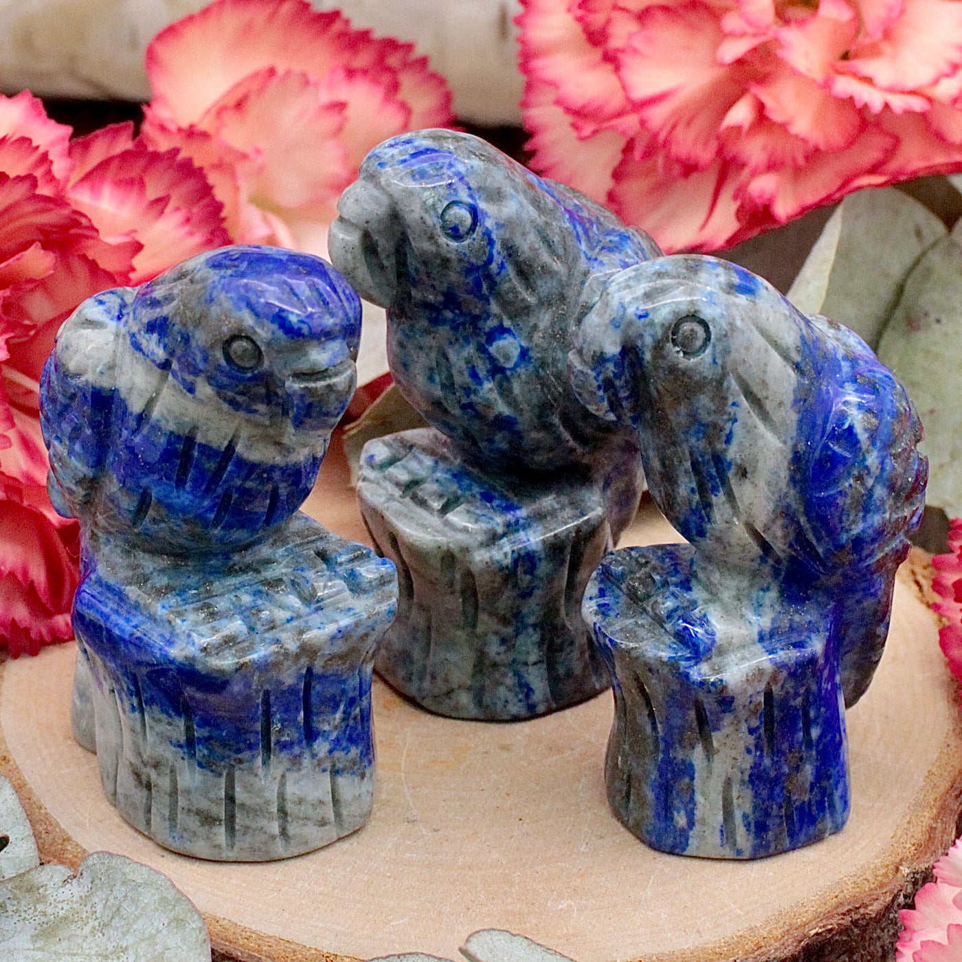 RC10184-Lapis-Lazuli-Parrot
