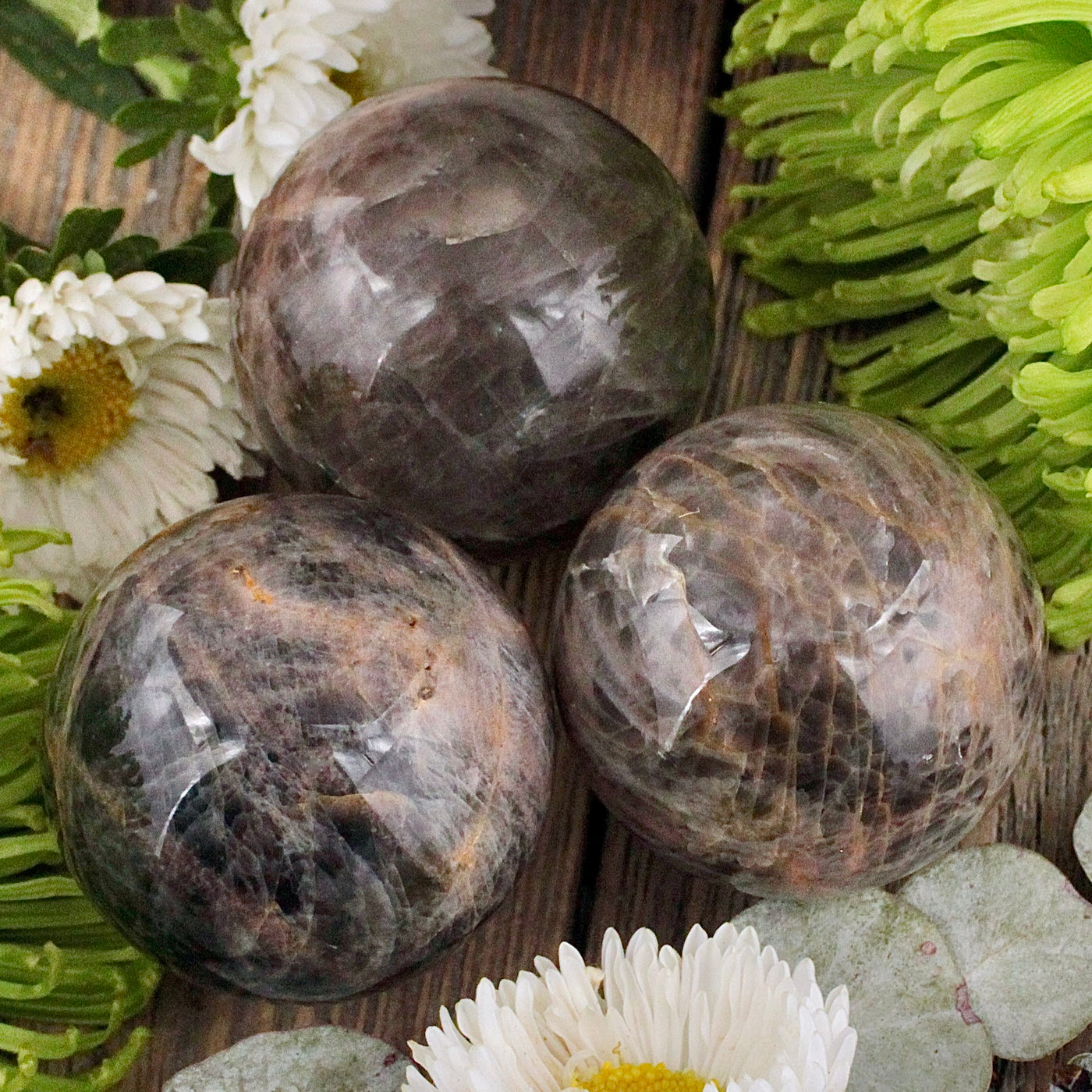 RC10268-Black-Moonstone-Sphere-A