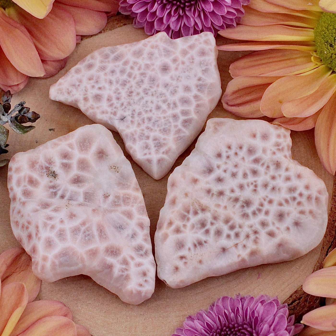 Raw Pink Natrolite Piece