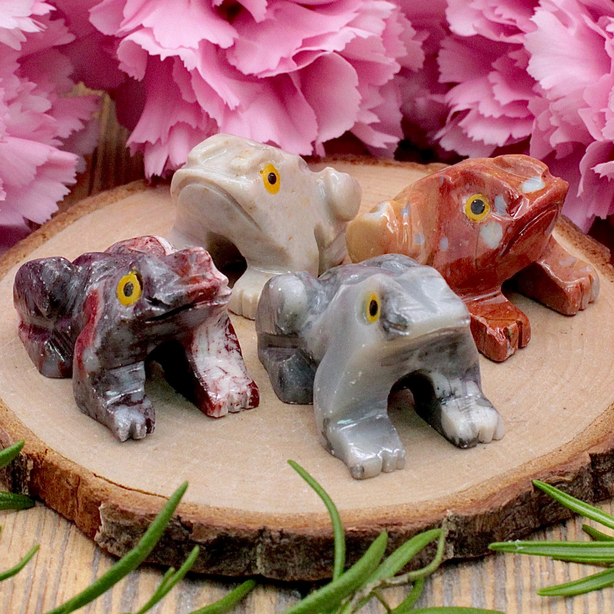 Peruvian_Jasper_Frog
