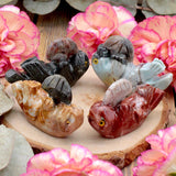 Peruvian Jasper Otter