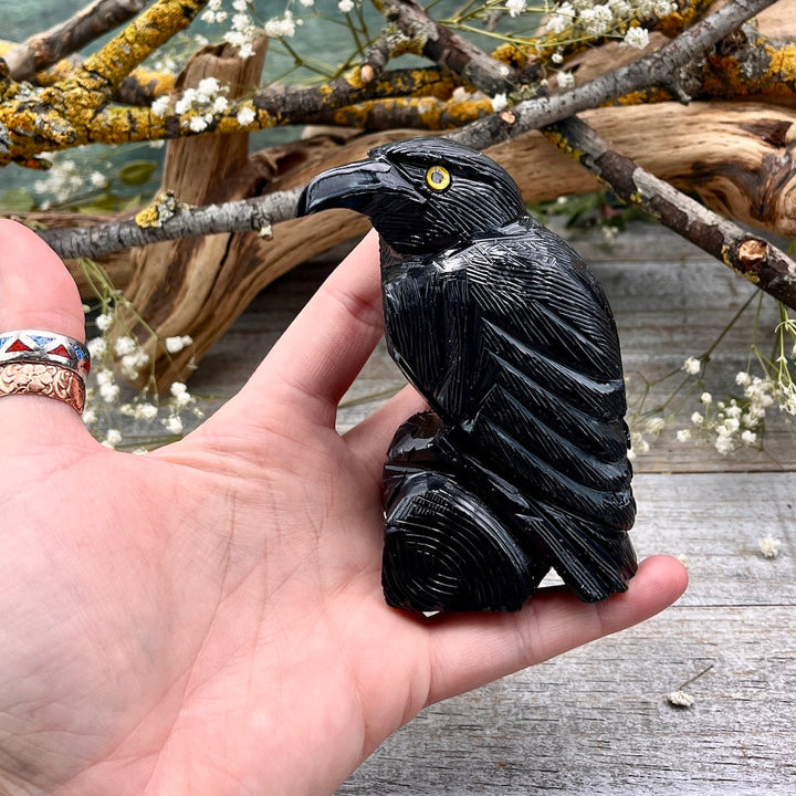 【SK6】レムノス　CARVED RC1287_Onyx_Raven_Carving_Extr