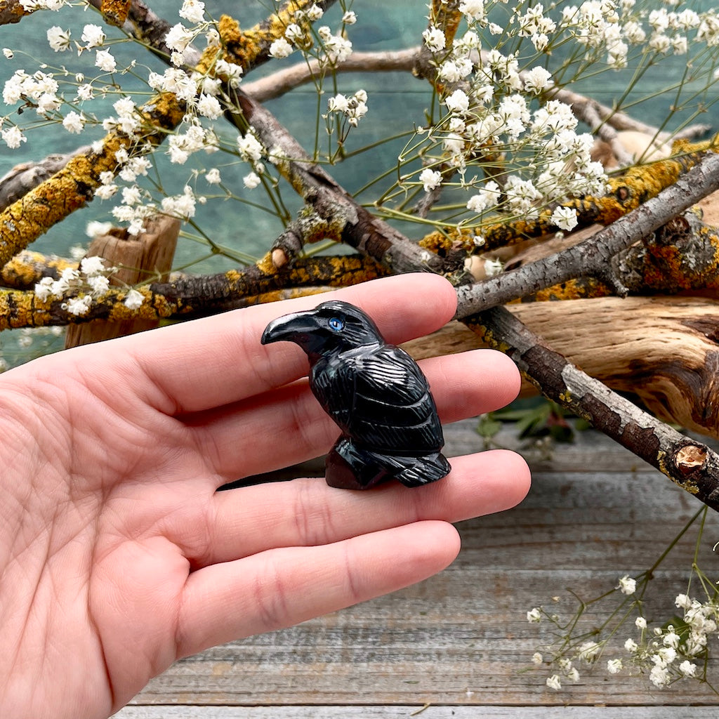 Onyx Raven – RockMama.com